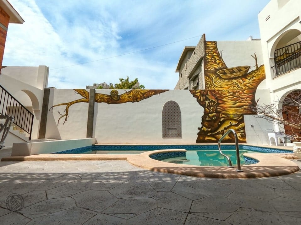 247029177_312601630220147_6161947478632139717_n__2_