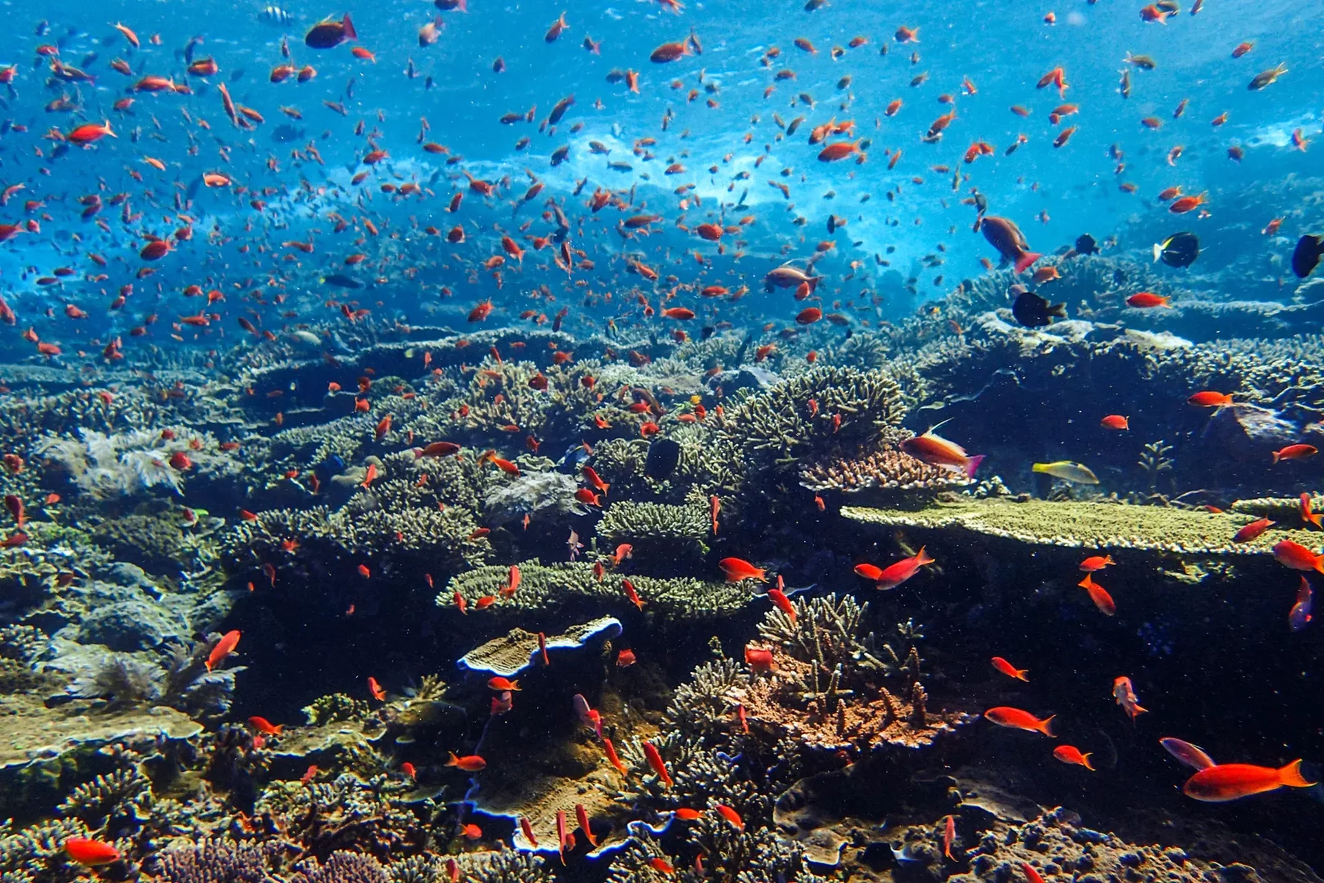 24d6feccbb77d39429afdebfd6104b33