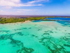 2fd2a35b1c9ff5246a3f86ab2fcdb63b