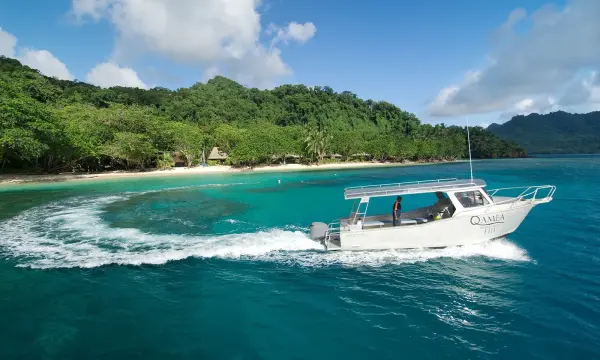 239269639_fs2_1600x_3x