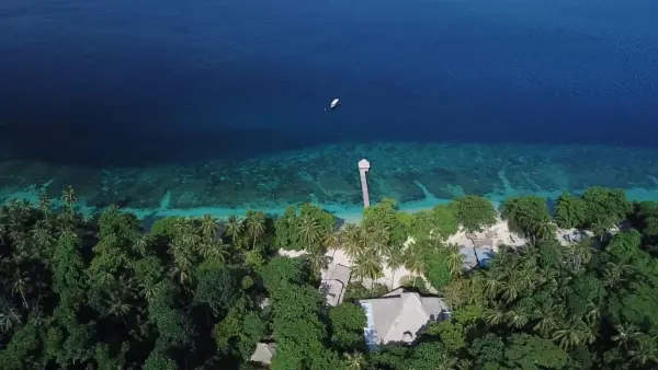 30ea2a79c1b2fee4f3b2c8a95503b45f