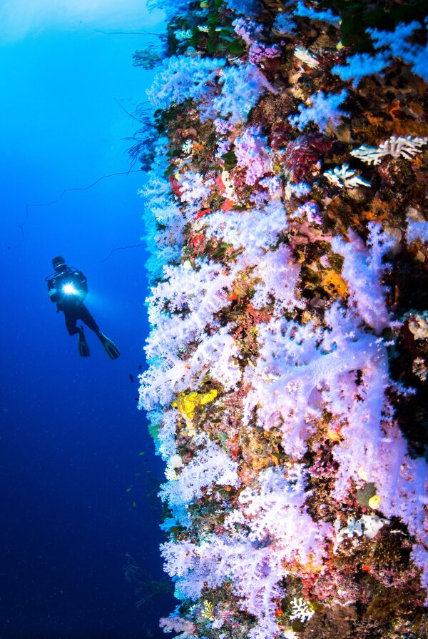 4__The_Great_White_Wall_