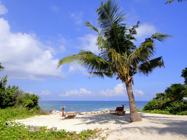 6200063105_1420a0ca80_b