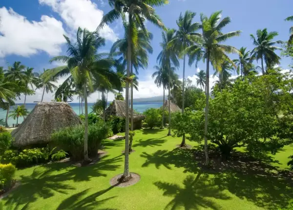 8003860-qamea-property