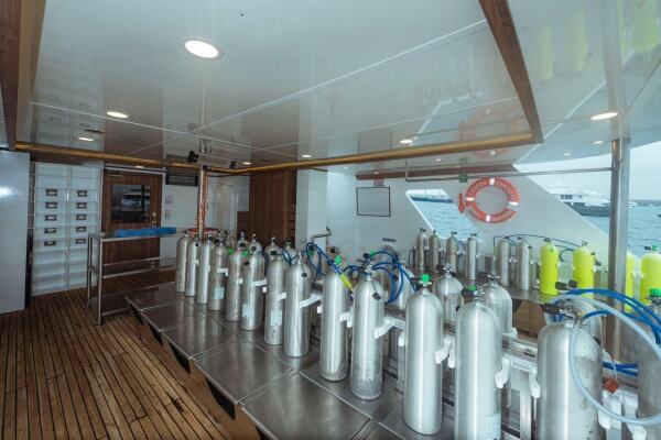 9986ca1c-ce1a-4de6-ba2a-02ff9d6aab2