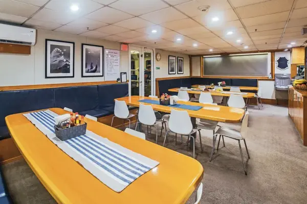 belle-amie-dining-room-001-2024