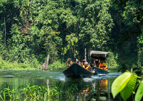 BelumRainforest1200px1