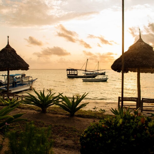 big-blu-mafia-dive-centre-6