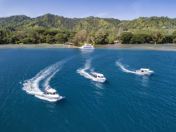 c106dd2d98e398afeebdc9a0758227bf