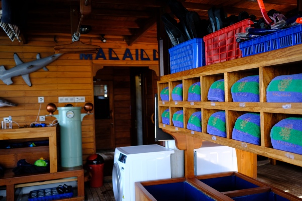 DMalaillo_Dive_Deck1