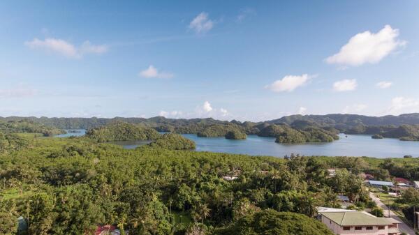 driv-view_1493980517