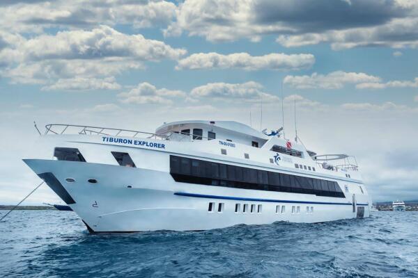 e40bb54c-b429-46b9-a438-ebf9e9a39aa6