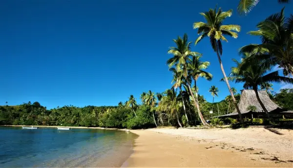 imgonline-com-ua-resize-3tmsigxsohim9xh-e1593540777522_jpg_ac0b3221-3c76-4985-b01e-64ab8334882d