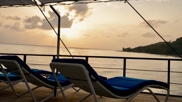 samambaia-36_-_dimensioni_grandi