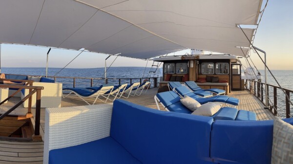 samambaia-liveaboard-14