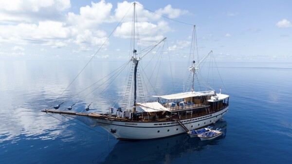 samambaia-liveaboard-15