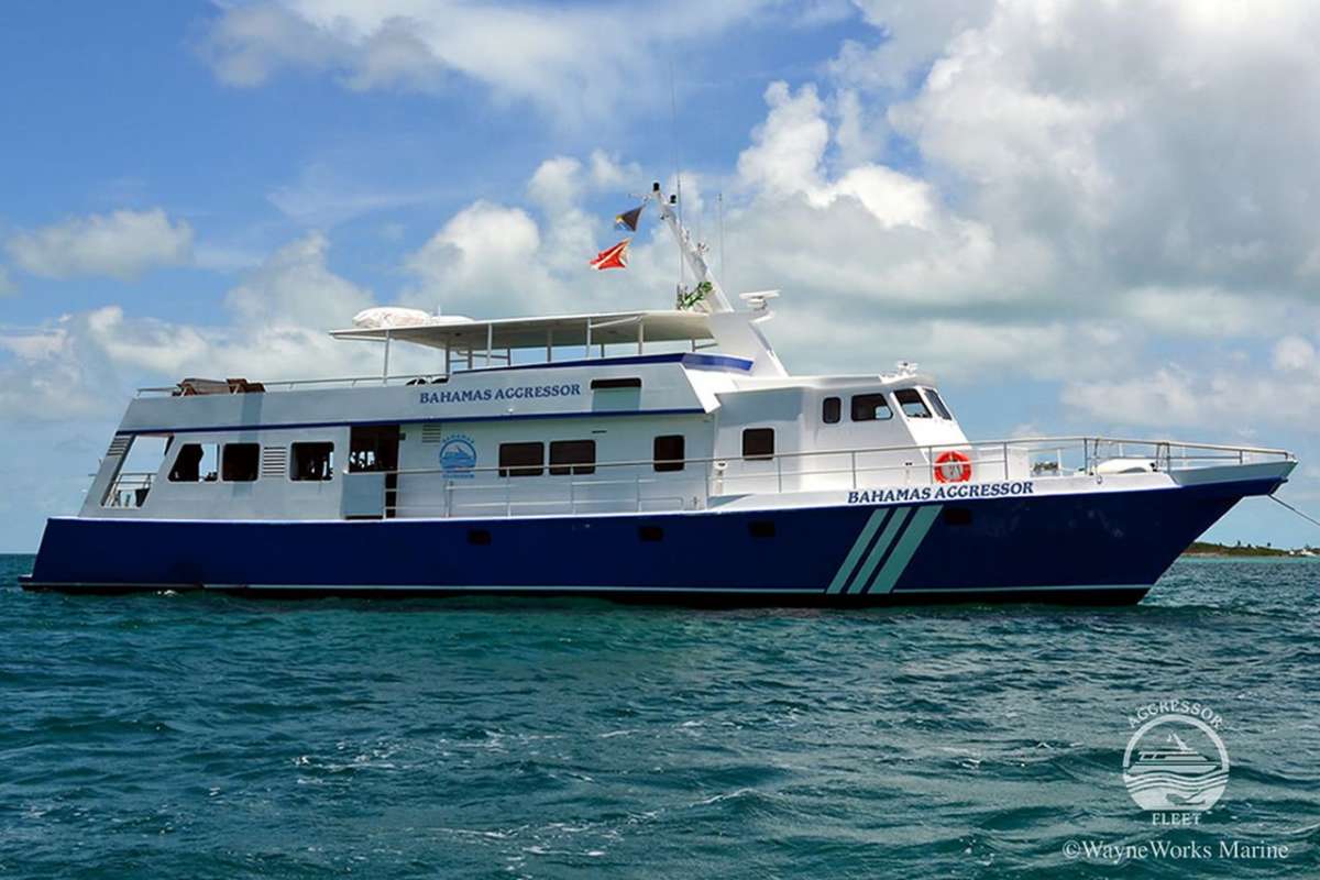 bahamas-aggressor-scuba-diving-liveaboard-in-bahamas-exuma-cays-land-tiger-beach-24