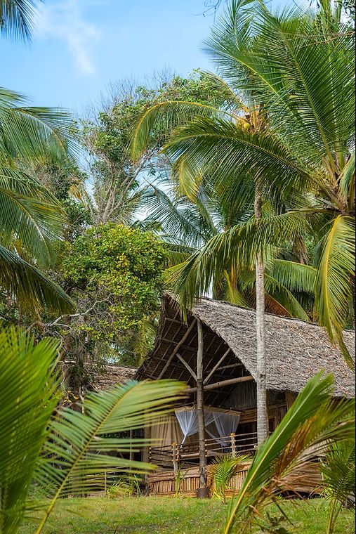 c74638_6a8757da3d834ea2a91763d2ee86595b_mv2