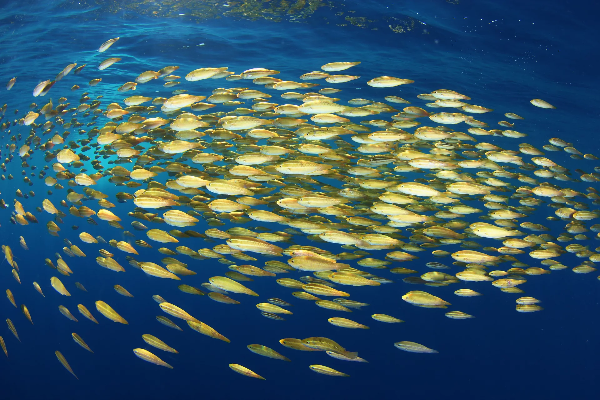 c9e8e8487024386dd048b48ca6717b9d