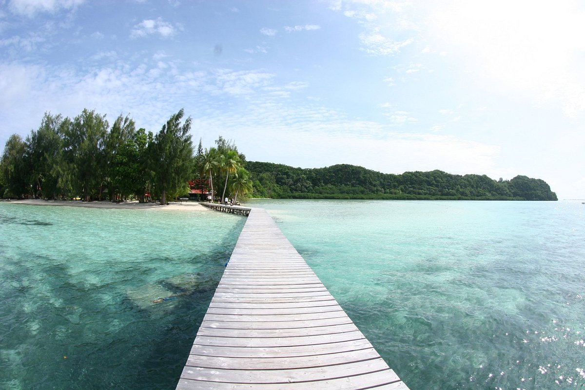 carp-island-resort__2_