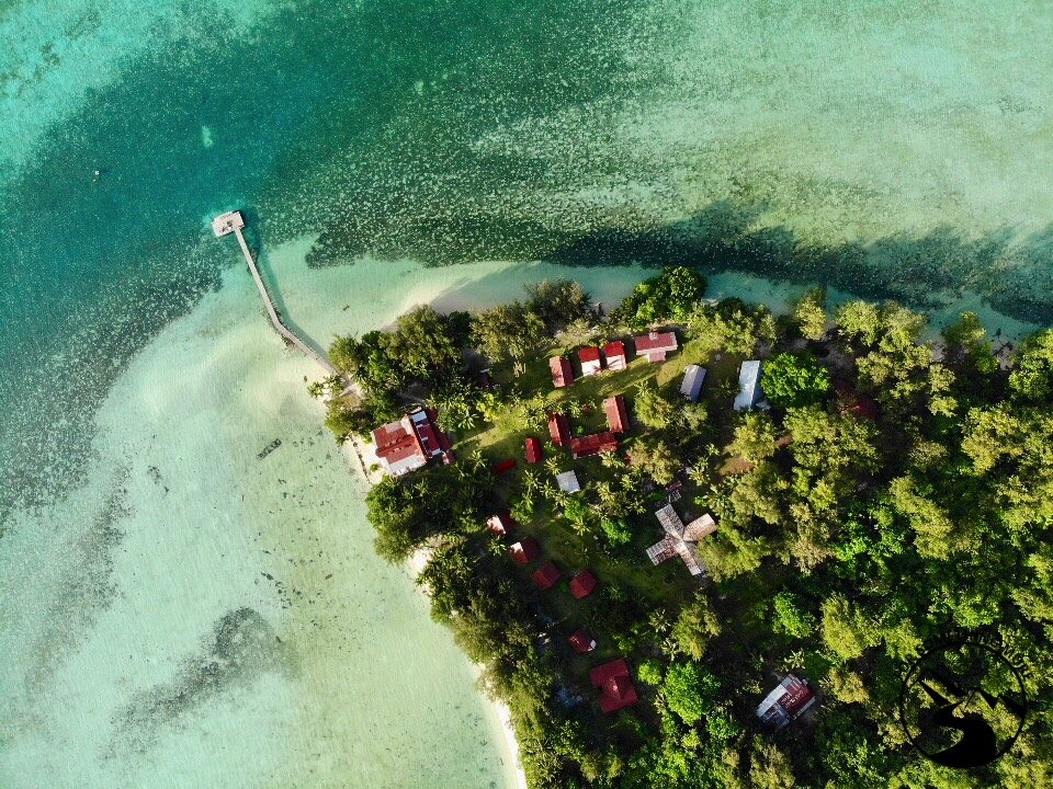 Carp-Island-Resort-in-Palau