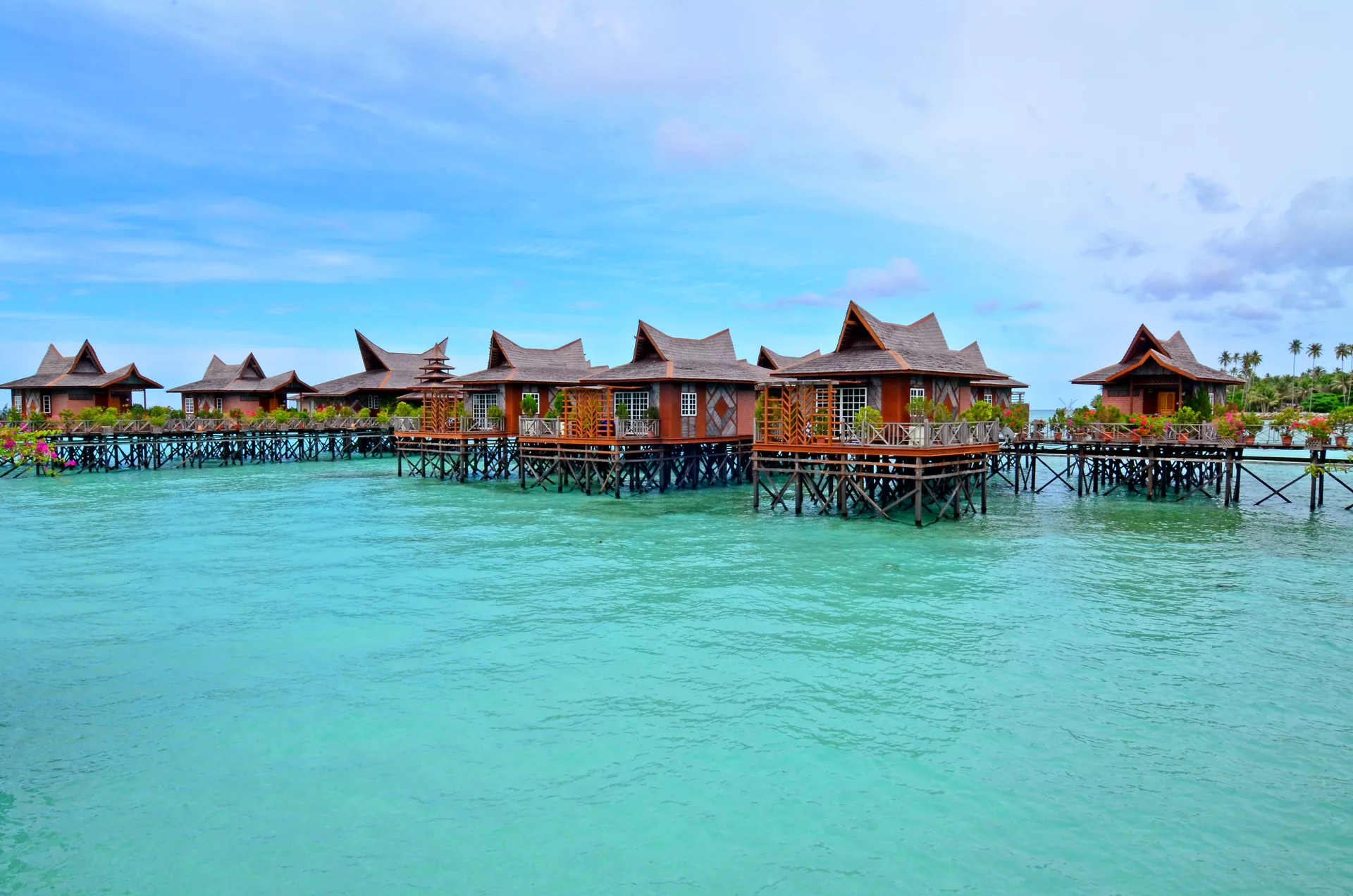 d1d1c0a431b0cc471702d5701e16df2a