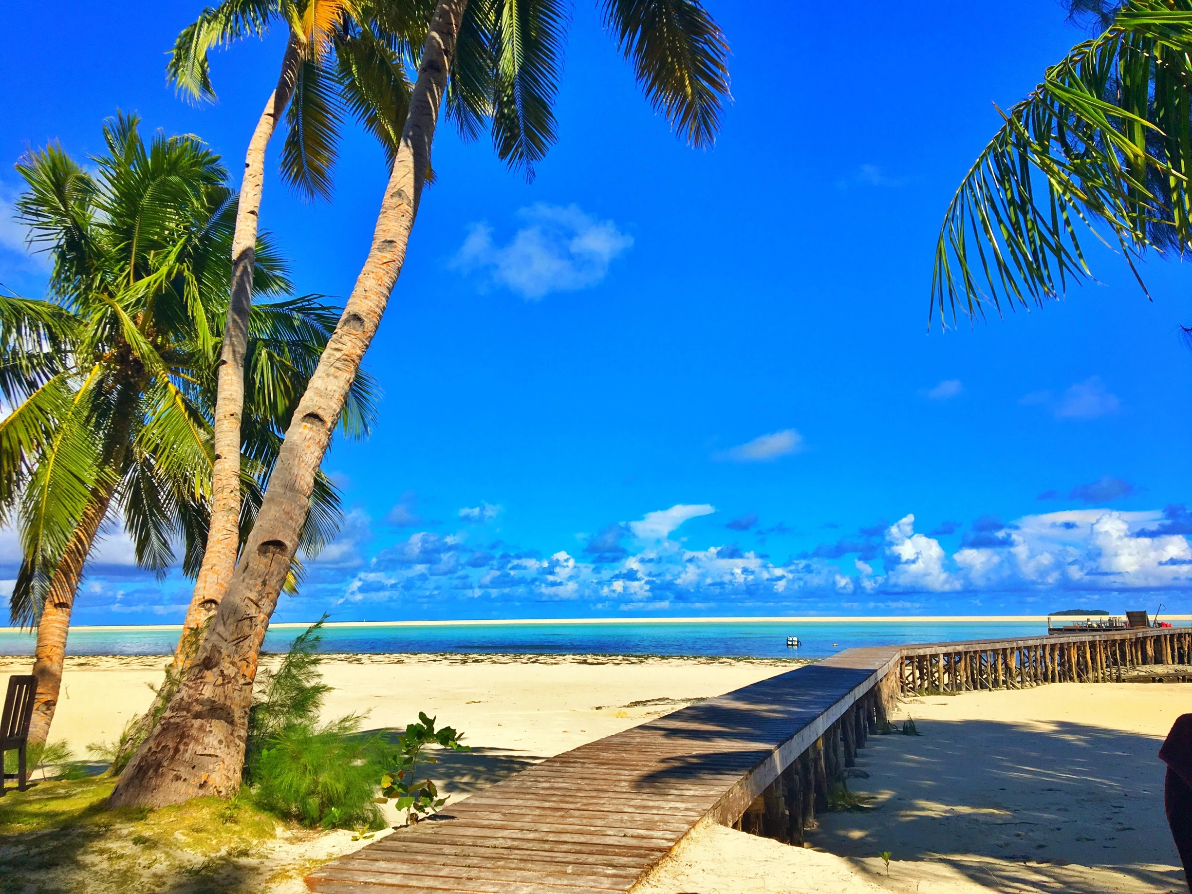 ddb46848ce3fed8dae754f8cf52d4c60