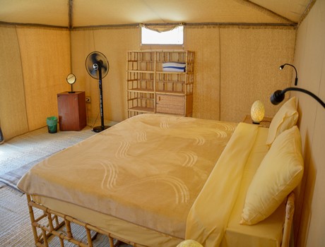 DSC_0013_AM_2_12fc2_lg