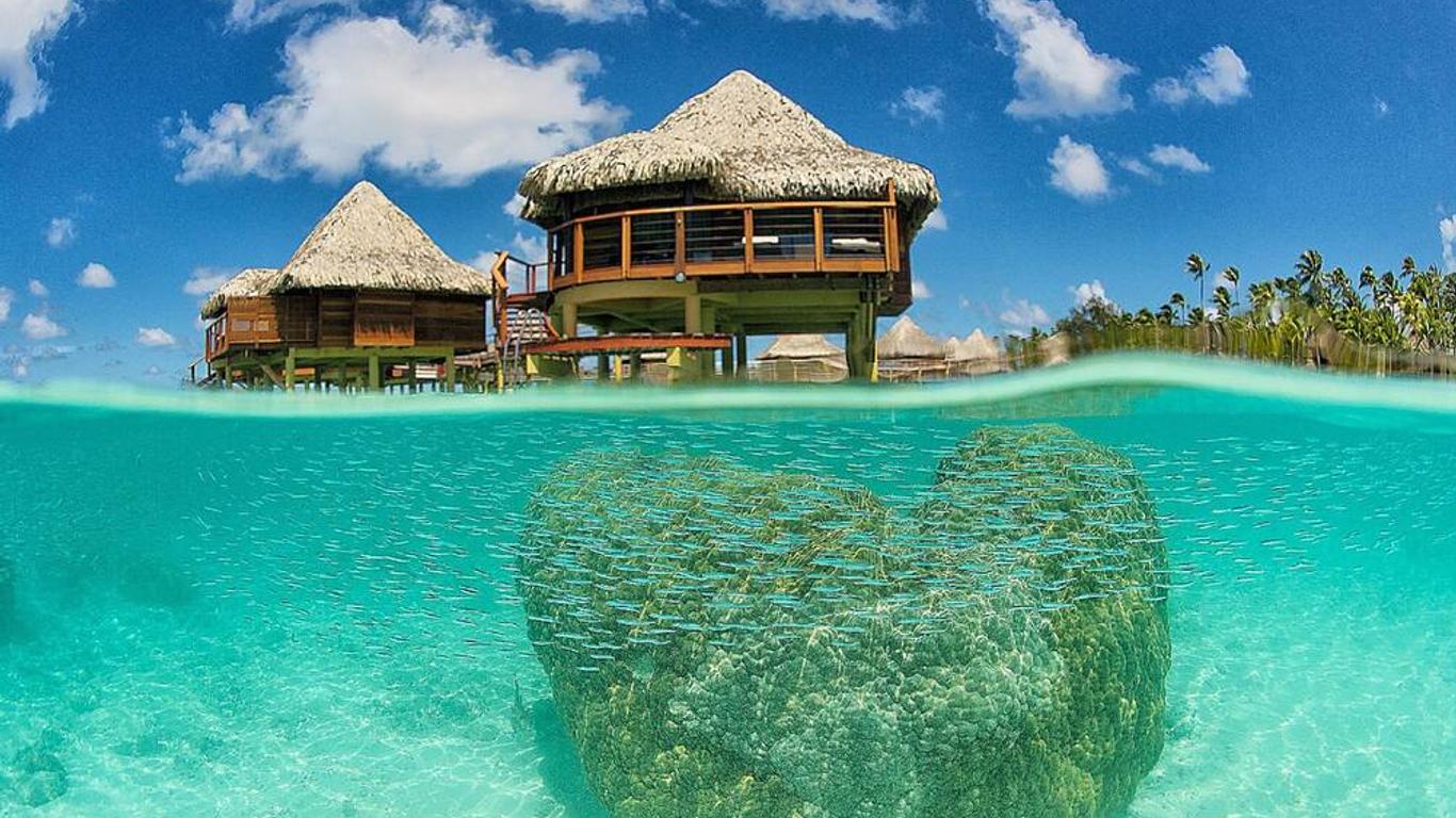 expediav2-679867-5316c2-561124