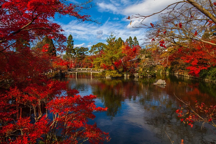 giappone-foliage
