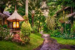 images461258