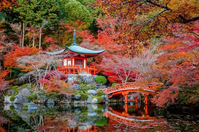images_foliage