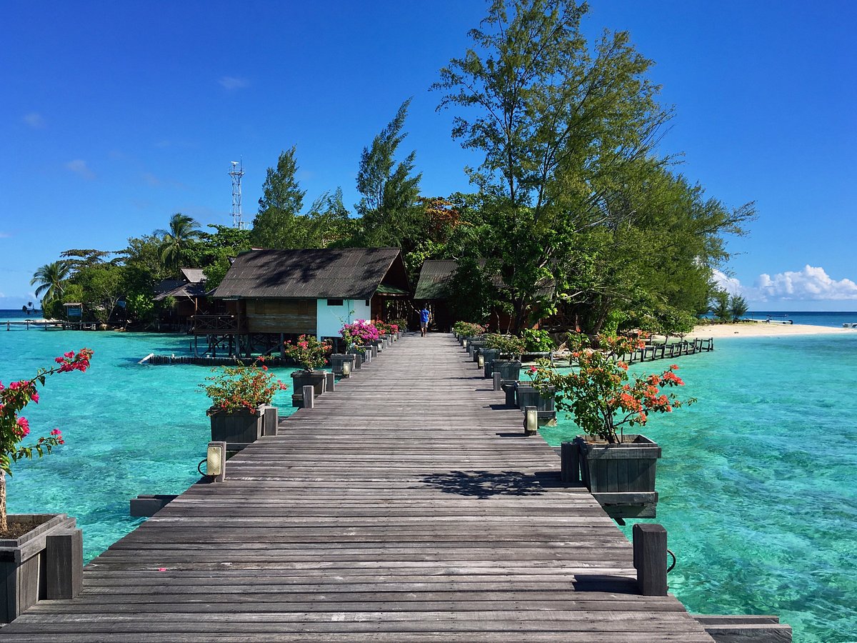 Lankayan-Island-Dive-Resort-Malesia-Incontaminato-pezzetto-di-paradiso-Profondo-Blu-5