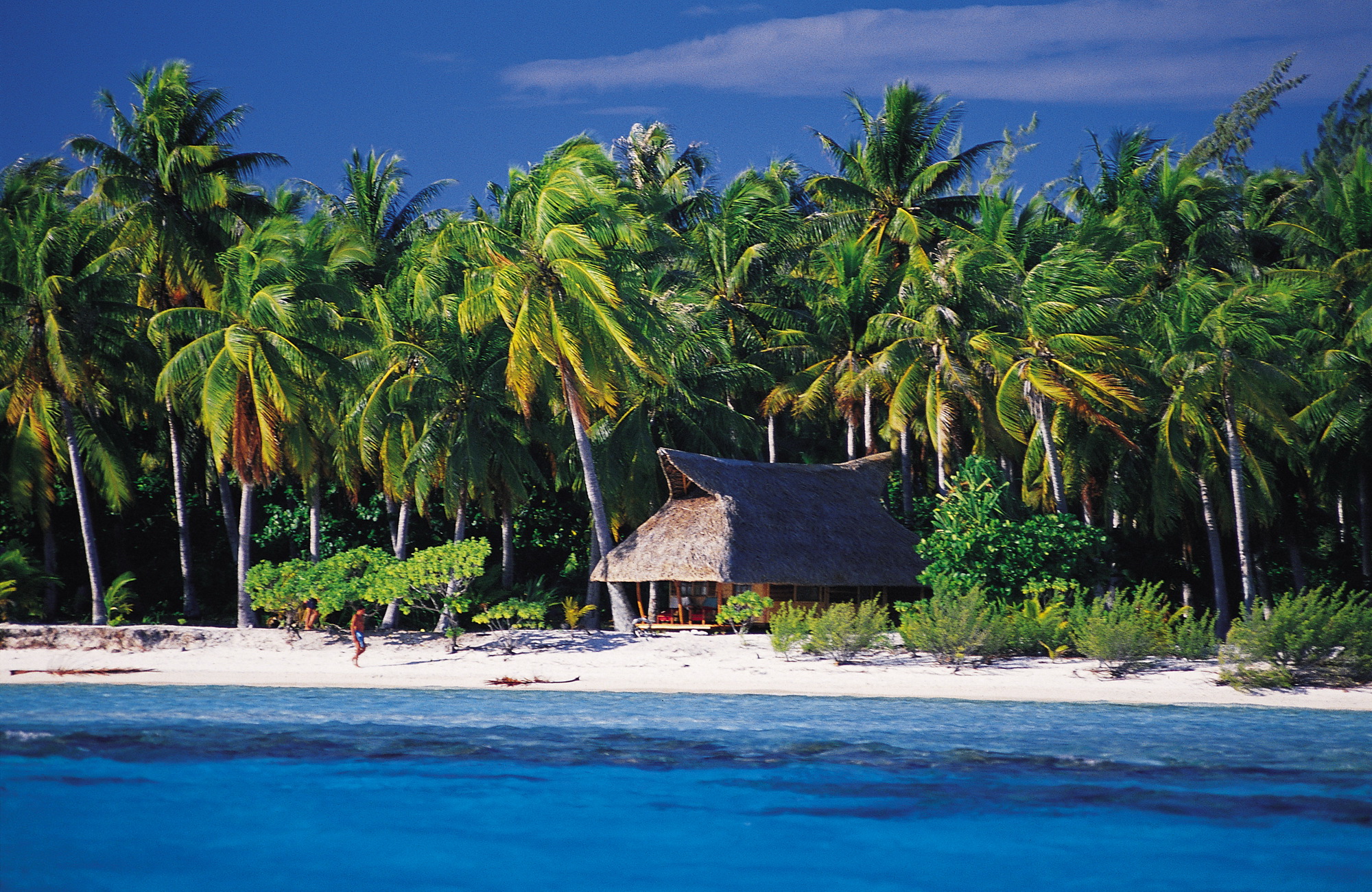 Les-Relais-de-Josephine-Isola-Di-Rangiroa-Pensione-di-alta-gamma-Profondo-Blu-0