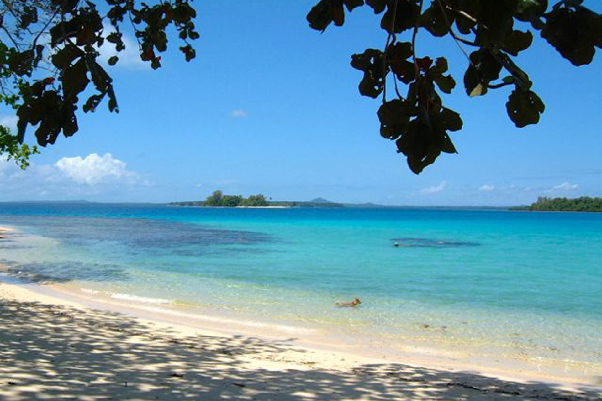 Papua-New-Guinea-Wildlife-Tours_Accommodation_Lissenung-Island-Resort-6-1920x1280