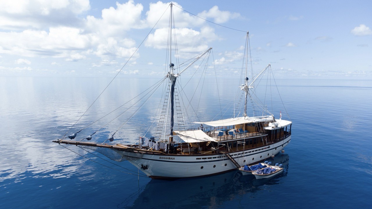 samambaia-liveaboard-15