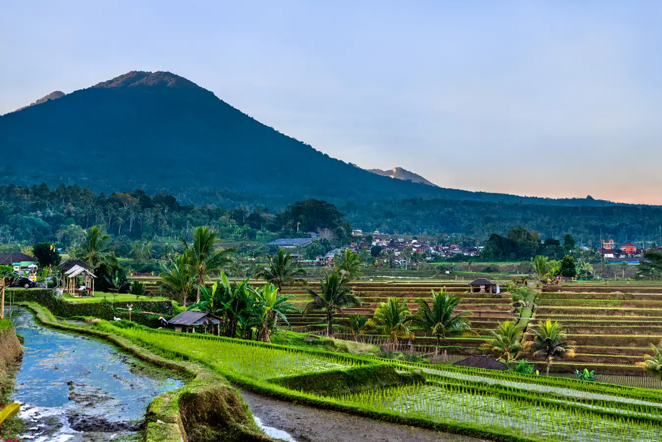 temutamu-tourdibali-condivisi-jatiluwih