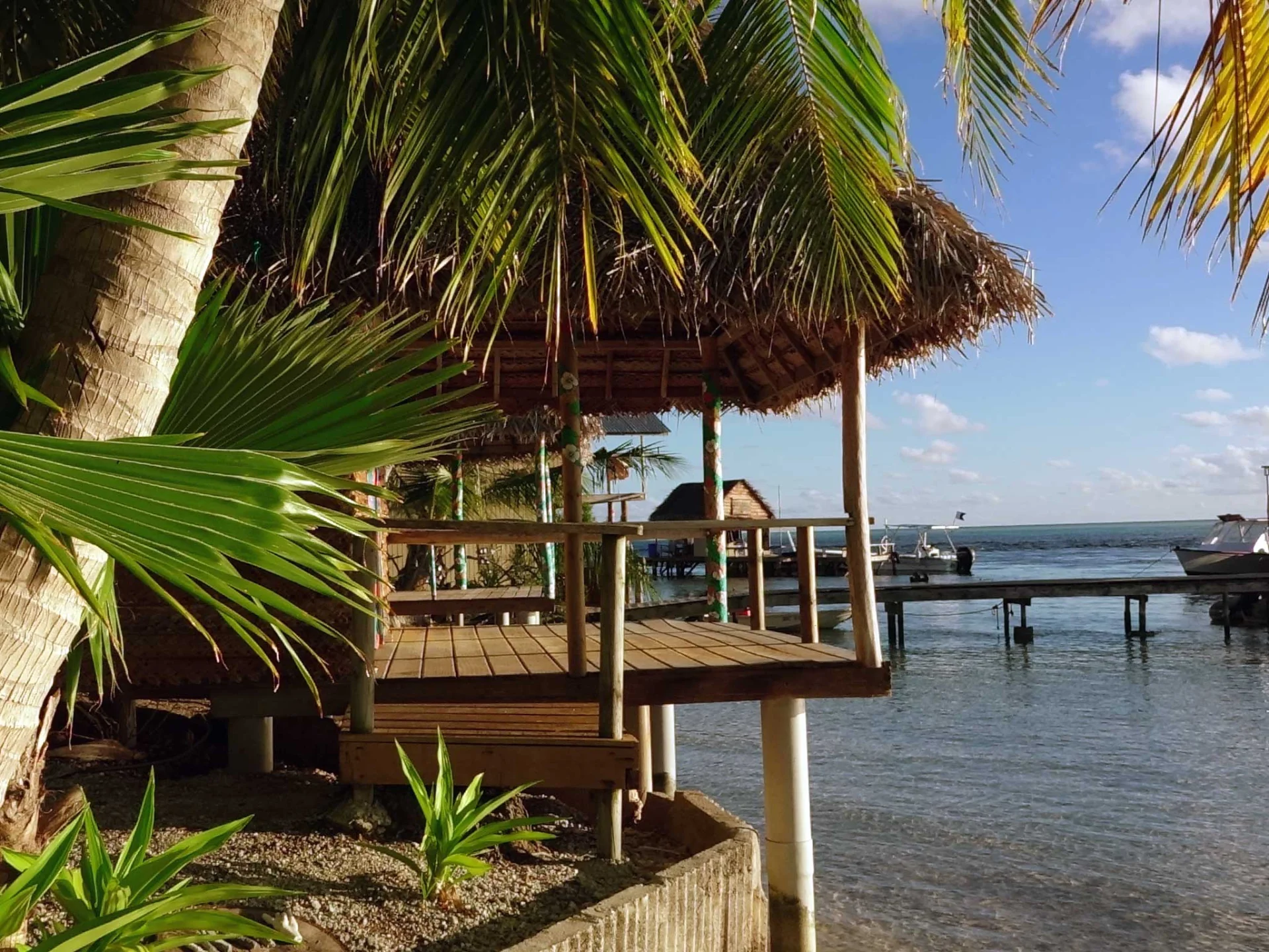 tet-large-32-264d621a