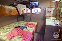 bahamas-aggressor-scuba-diving-liveaboard-in-bahamas-exuma-cays-land-tiger-beach-04
