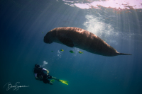 Dougong_of_Coron_inf