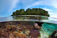 House Reef Wai Eco Resort