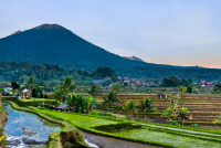 temutamu-tourdibali-condivisi-jatiluwih